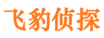 陆丰侦探公司